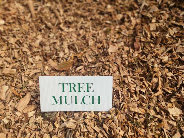 Tree mulch